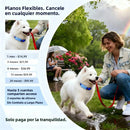 Rastreador GPS para Perros y Gatos GP30 – SIM IoT Integrada, Seguimiento Ilimitado, Geovalla y Resistente al Agua IP67